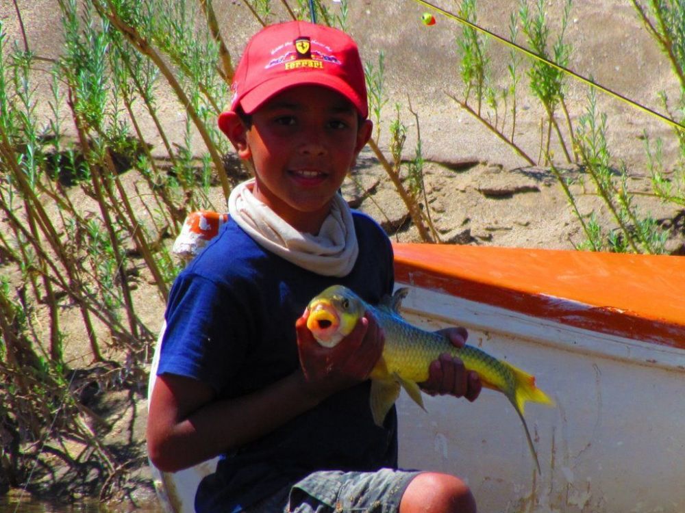 flyfishing2.jpg