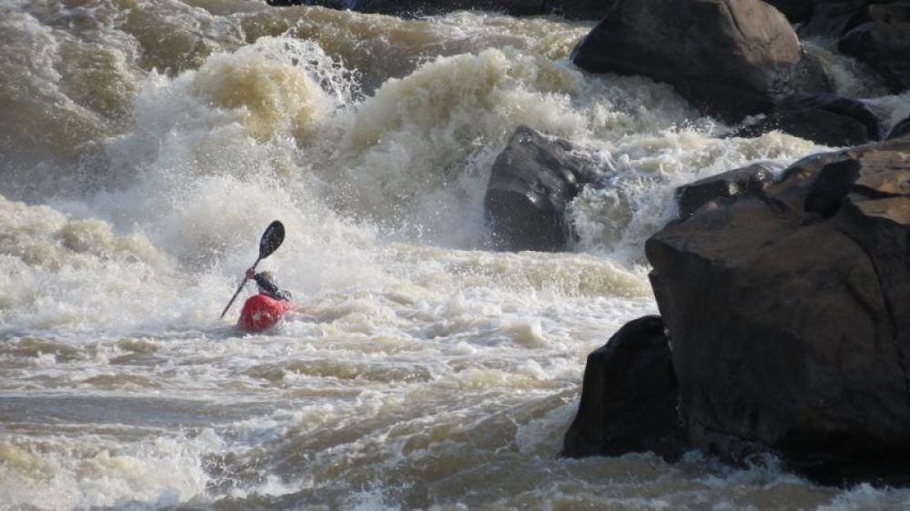 kayak.jpg